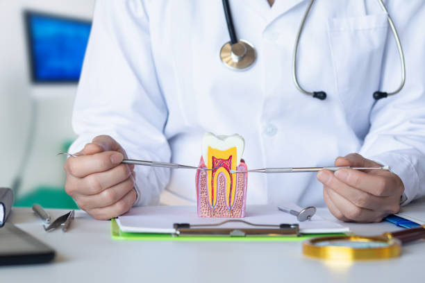 Best Emergency Tooth Extraction in Weidman, MI